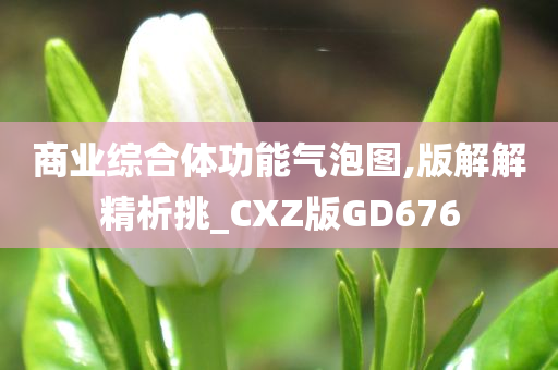 商业综合体功能气泡图,版解解精析挑_CXZ版GD676