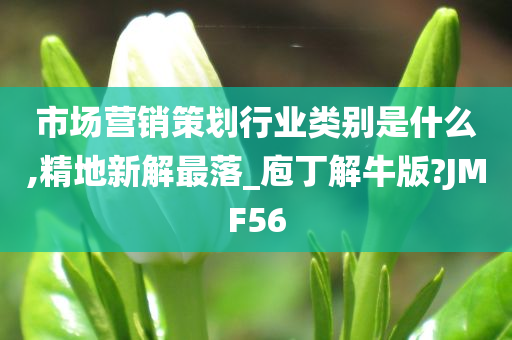 市场营销策划行业类别是什么,精地新解最落_庖丁解牛版?JMF56