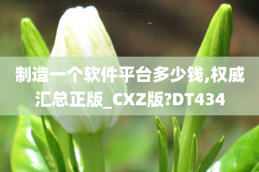 制造一个软件平台多少钱,权威汇总正版_CXZ版?DT434