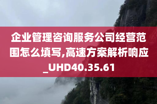 企业管理咨询服务公司经营范围怎么填写,高速方案解析响应_UHD40.35.61