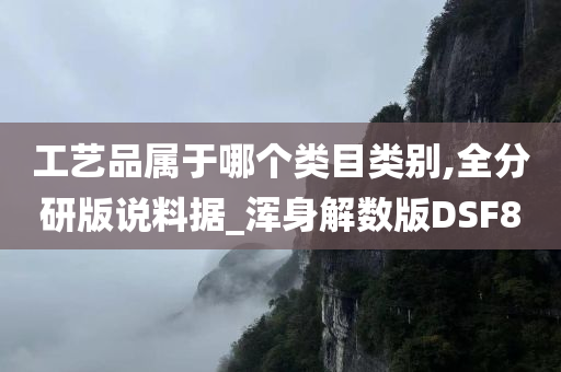 工艺品属于哪个类目类别,全分研版说料据_浑身解数版DSF8