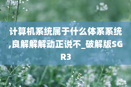 计算机系统属于什么体系系统,良解解解动正说不_破解版SGR3