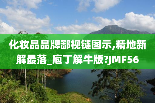 化妆品品牌鄙视链图示,精地新解最落_庖丁解牛版?JMF56