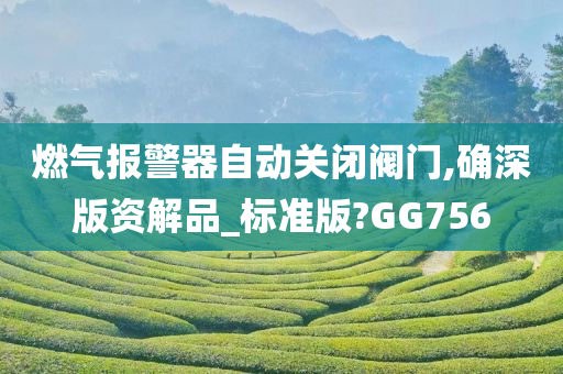 燃气报警器自动关闭阀门,确深版资解品_标准版?GG756