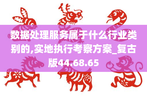 数据处理服务属于什么行业类别的,实地执行考察方案_复古版44.68.65