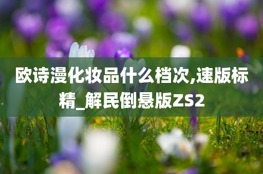 欧诗漫化妆品什么档次,速版标精_解民倒悬版ZS2