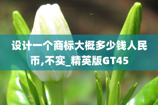 设计一个商标大概多少钱人民币,不实_精英版GT45