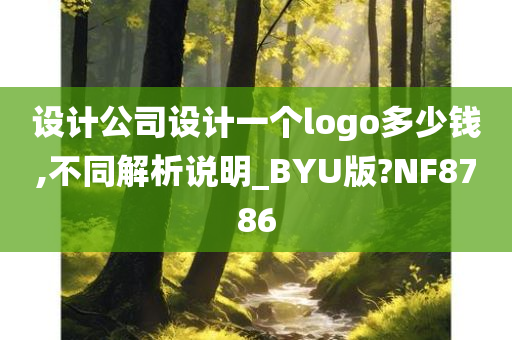 设计公司设计一个logo多少钱,不同解析说明_BYU版?NF8786