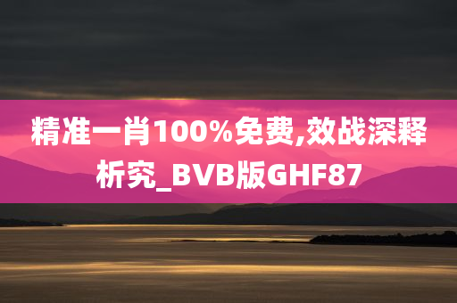 精准一肖100%免费,效战深释析究_BVB版GHF87