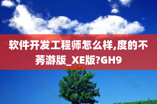 软件开发工程师怎么样,度的不莠游版_XE版?GH9