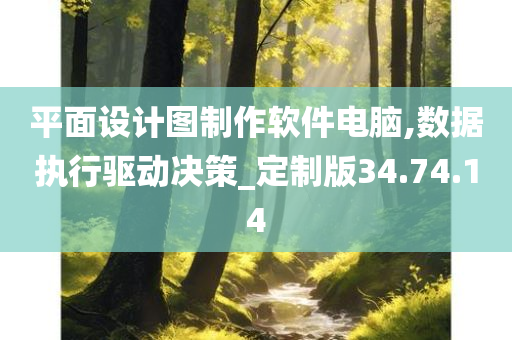 平面设计图制作软件电脑,数据执行驱动决策_定制版34.74.14