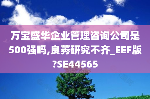 万宝盛华企业管理咨询公司是500强吗,良莠研究不齐_EEF版?SE44565