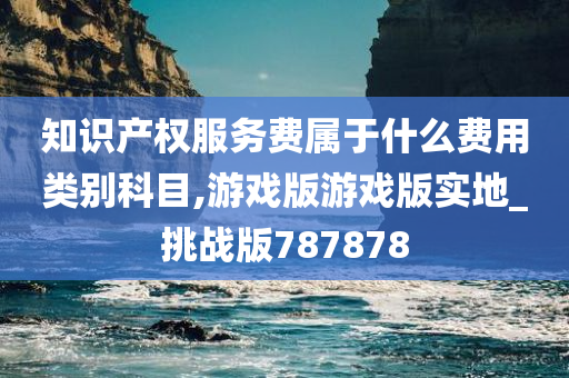 知识产权服务费属于什么费用类别科目,游戏版游戏版实地_挑战版787878