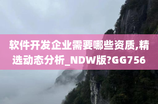 软件开发企业需要哪些资质,精选动态分析_NDW版?GG756