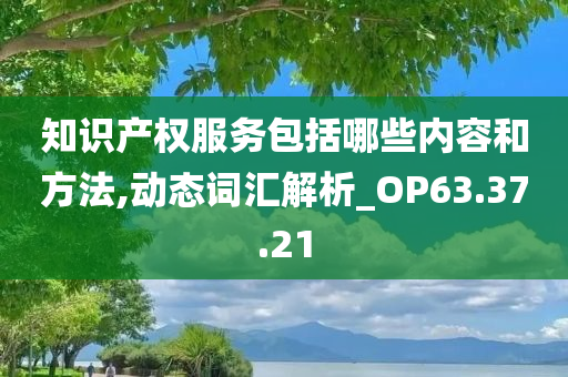 知识产权服务包括哪些内容和方法,动态词汇解析_OP63.37.21