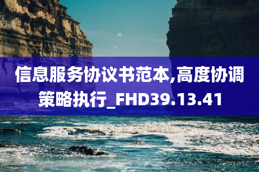 信息服务协议书范本,高度协调策略执行_FHD39.13.41