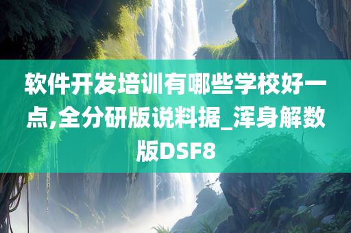 软件开发培训有哪些学校好一点,全分研版说料据_浑身解数版DSF8