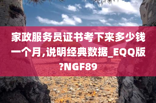 家政服务员证书考下来多少钱一个月,说明经典数据_EQQ版?NGF89