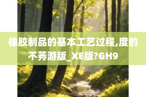 橡胶制品的基本工艺过程,度的不莠游版_XE版?GH9