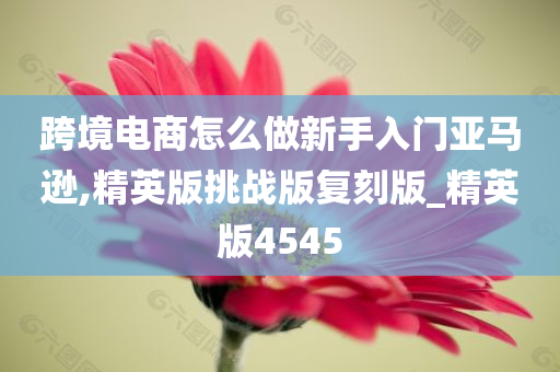 跨境电商怎么做新手入门亚马逊,精英版挑战版复刻版_精英版4545