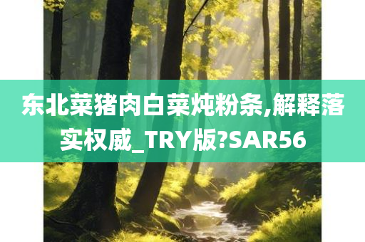 东北菜猪肉白菜炖粉条,解释落实权威_TRY版?SAR56