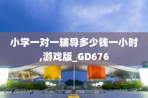 小学一对一辅导多少钱一小时,游戏版_GD676