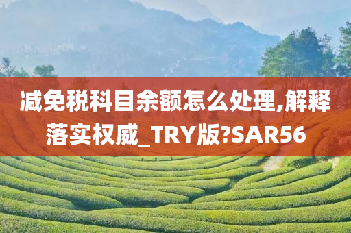 减免税科目余额怎么处理,解释落实权威_TRY版?SAR56