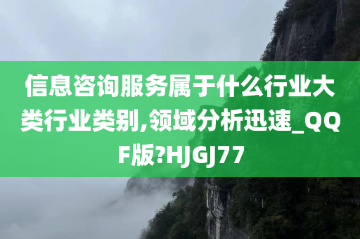 信息咨询服务属于什么行业大类行业类别,领域分析迅速_QQF版?HJGJ77