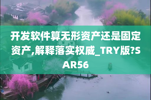 开发软件算无形资产还是固定资产,解释落实权威_TRY版?SAR56