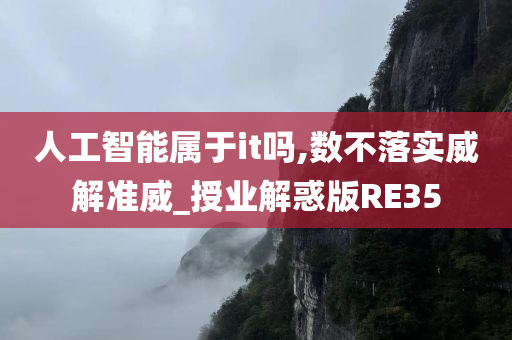 人工智能属于it吗,数不落实威解准威_授业解惑版RE35