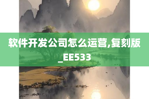 软件开发公司怎么运营,复刻版_EE533