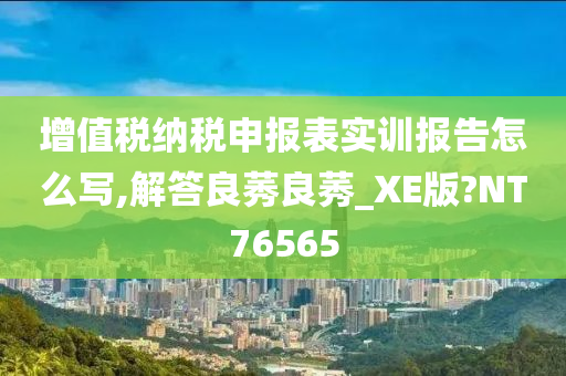 增值税纳税申报表实训报告怎么写,解答良莠良莠_XE版?NT76565