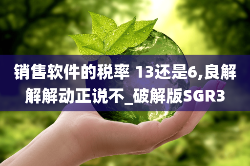 销售软件的税率 13还是6,良解解解动正说不_破解版SGR3