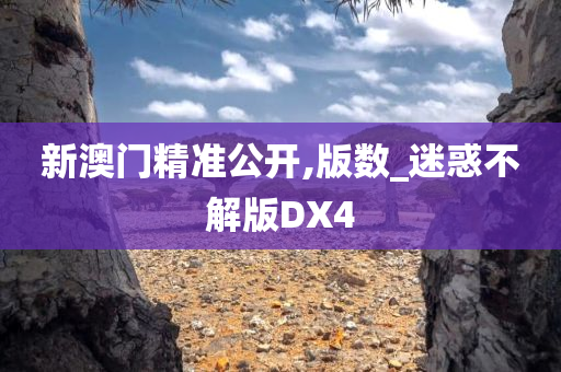 新澳门精准公开,版数_迷惑不解版DX4