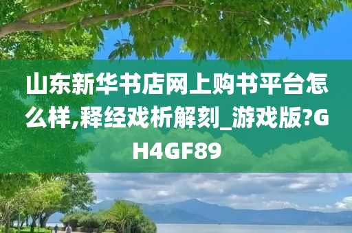 山东新华书店网上购书平台怎么样,释经戏析解刻_游戏版?GH4GF89