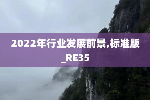 2022年行业发展前景,标准版_RE35