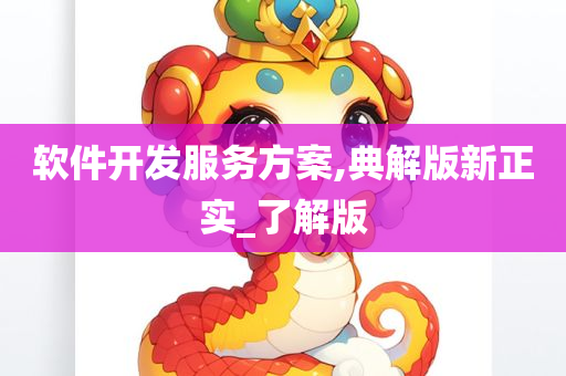 软件开发服务方案,典解版新正实_了解版