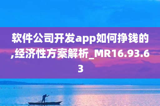 软件公司开发app如何挣钱的,经济性方案解析_MR16.93.63