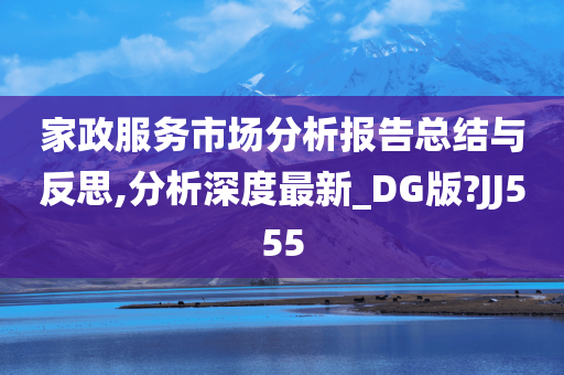 家政服务市场分析报告总结与反思,分析深度最新_DG版?JJ555