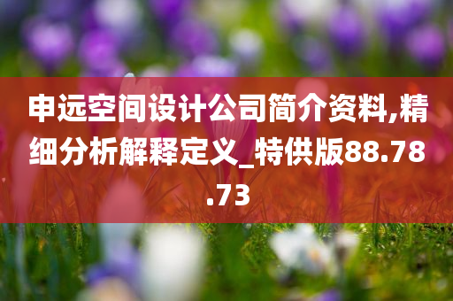 申远空间设计公司简介资料,精细分析解释定义_特供版88.78.73