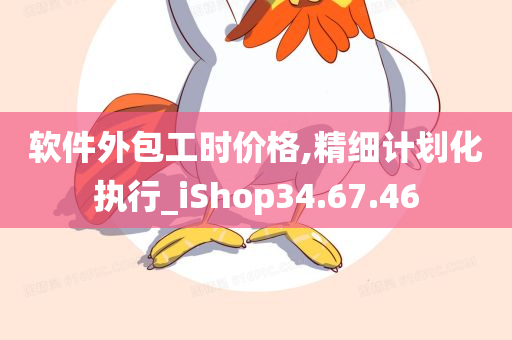 软件外包工时价格,精细计划化执行_iShop34.67.46