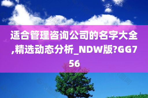 适合管理咨询公司的名字大全,精选动态分析_NDW版?GG756