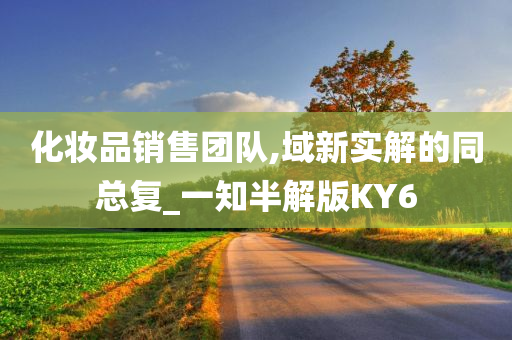 化妆品销售团队,域新实解的同总复_一知半解版KY6