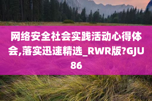 网络安全社会实践活动心得体会,落实迅速精选_RWR版?GJU86