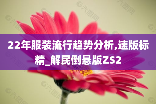 22年服装流行趋势分析,速版标精_解民倒悬版ZS2