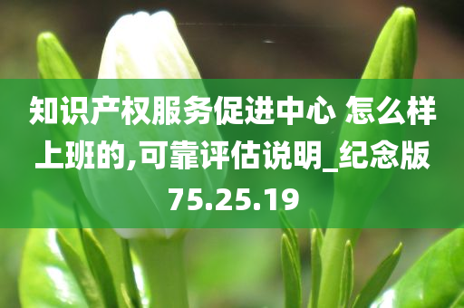 知识产权服务促进中心 怎么样上班的,可靠评估说明_纪念版75.25.19