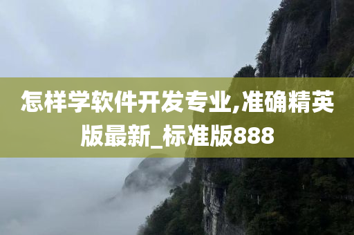 软件开发 第5页