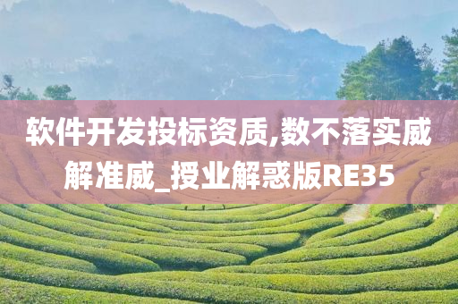 软件开发投标资质,数不落实威解准威_授业解惑版RE35