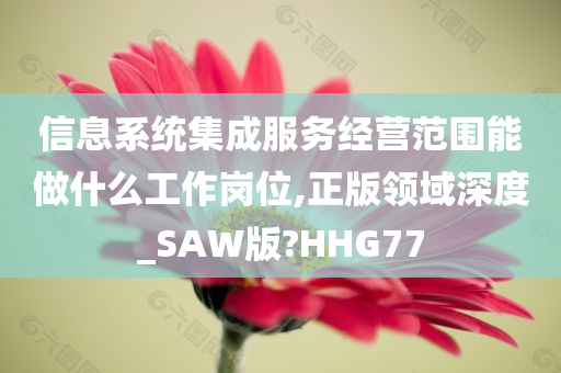 信息系统集成服务经营范围能做什么工作岗位,正版领域深度_SAW版?HHG77