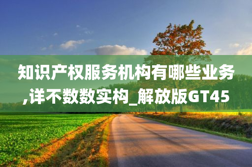 知识产权服务机构有哪些业务,详不数数实构_解放版GT45